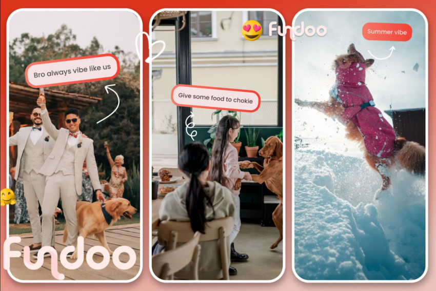 The Pet Community on TikTok: A Heartwarming Hub of Joy and Responsibility