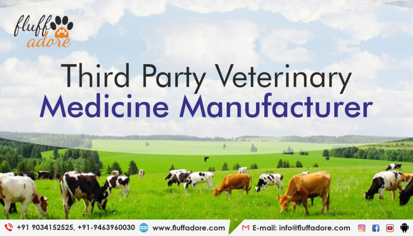 Secure Your Future With The Expertise Of Trusted Veterinary Third Party Manufacturers