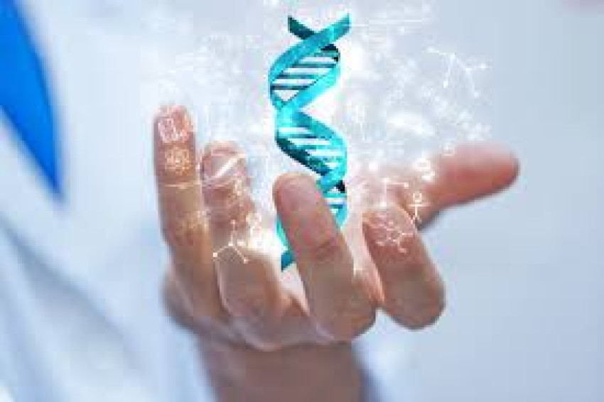Infidelity DNA Testing: Uncovering the Truth About Paternity