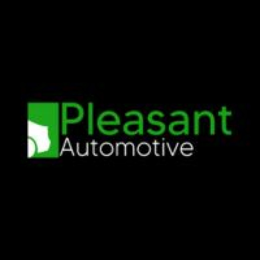 Pleasant Automotive Hosts Girl Scouts Young Driver Instruction Event