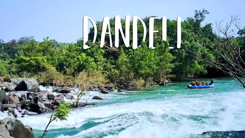 What Activities Are There To Do In Dandeli? [A Complete Guide]