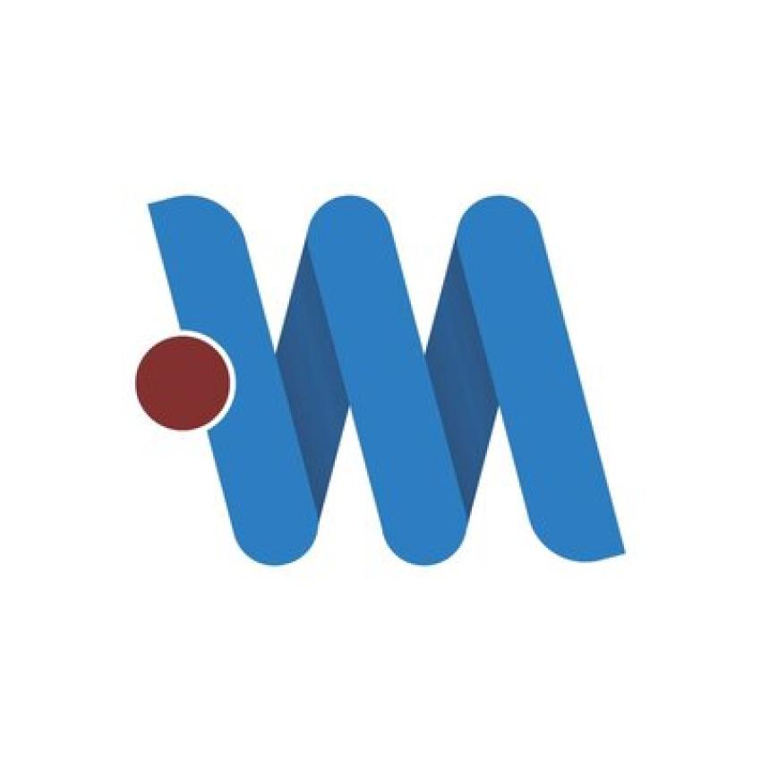 American Webs Master is a Custom IT service