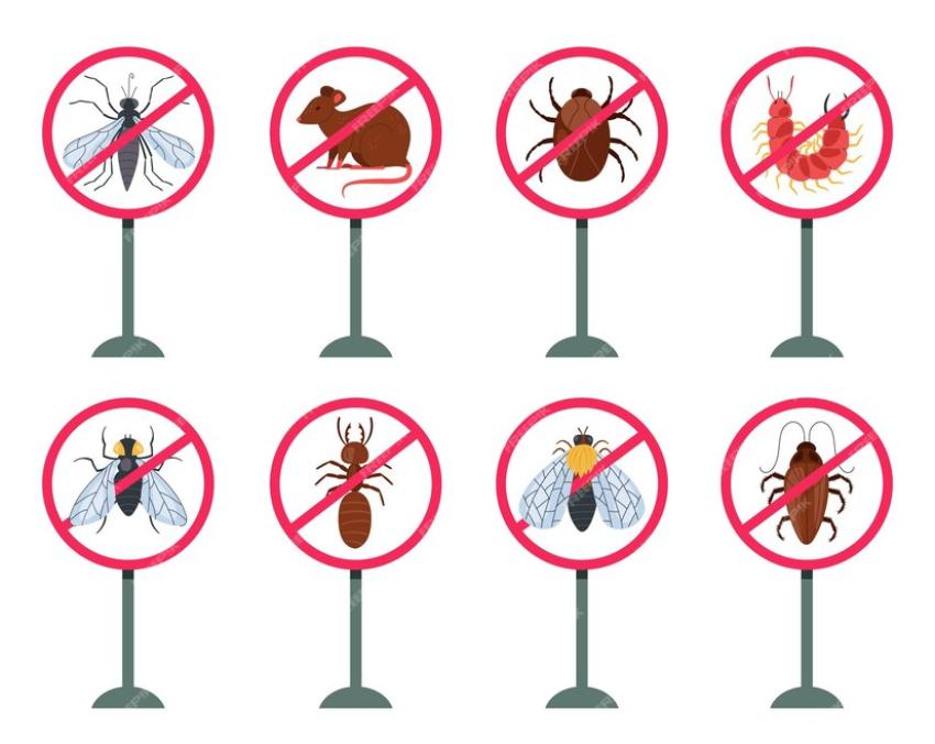 Leading Premier Company For Pest Control Service | No.1 Pest Control in Ahmedabad