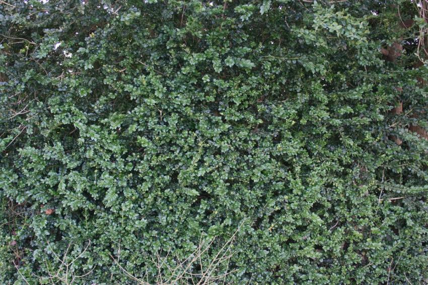 Great Landscaping Quotes - Absolutely Free in Every Way