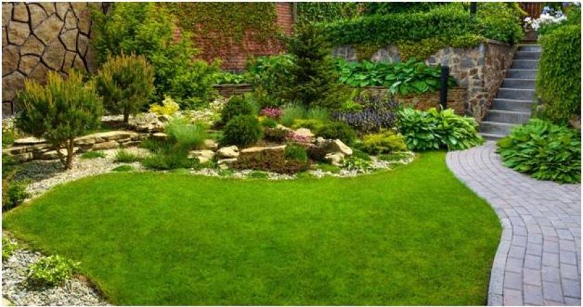 How Expert Landscapers Can Revamp Your Outdoor Space