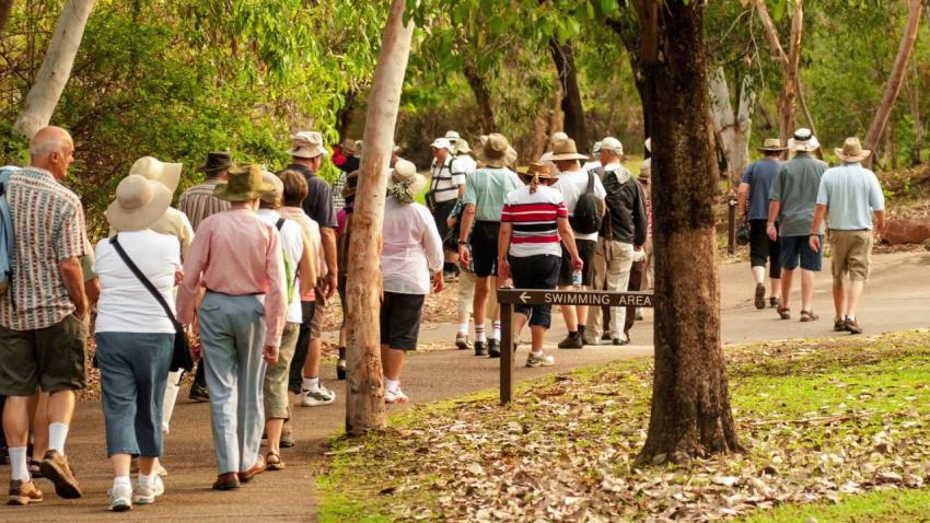 What Types of Group and Senior Tours Are Best for First-Time Travelers?