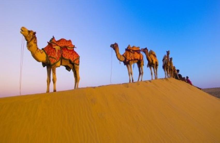 Explore here Best Tourist places to visit in Rajasthan, India