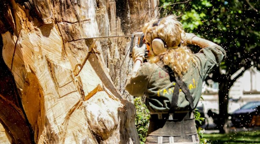 Tree Removal Prep: A Homeowner’s Checklist