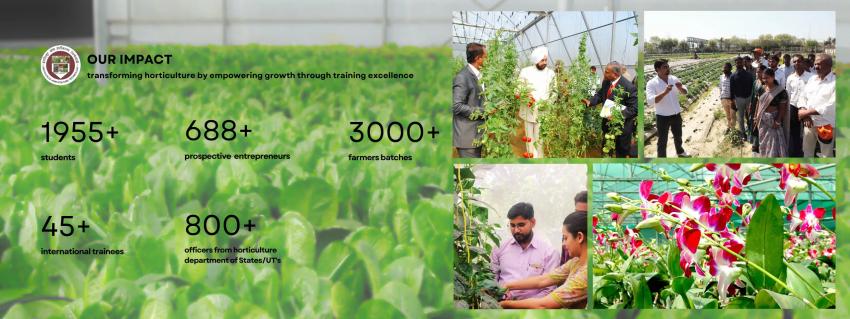 Horticulture Training – Boost Skill for Greener Future