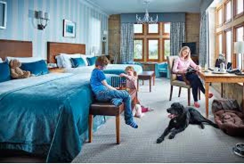 Top Pet-Friendly Hotels in Britain: A Guide for You and Your Furry Friend
