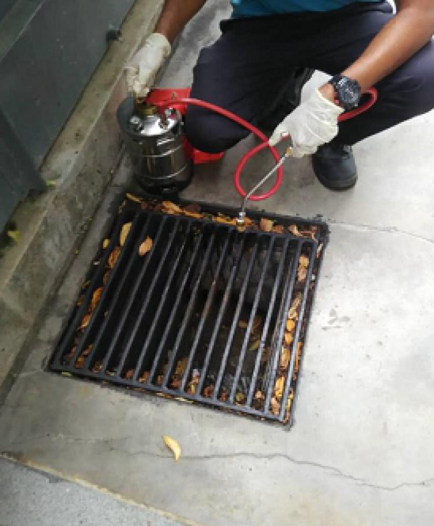 Effective Mosquitoes Control: Protecting Your Family from Dengue