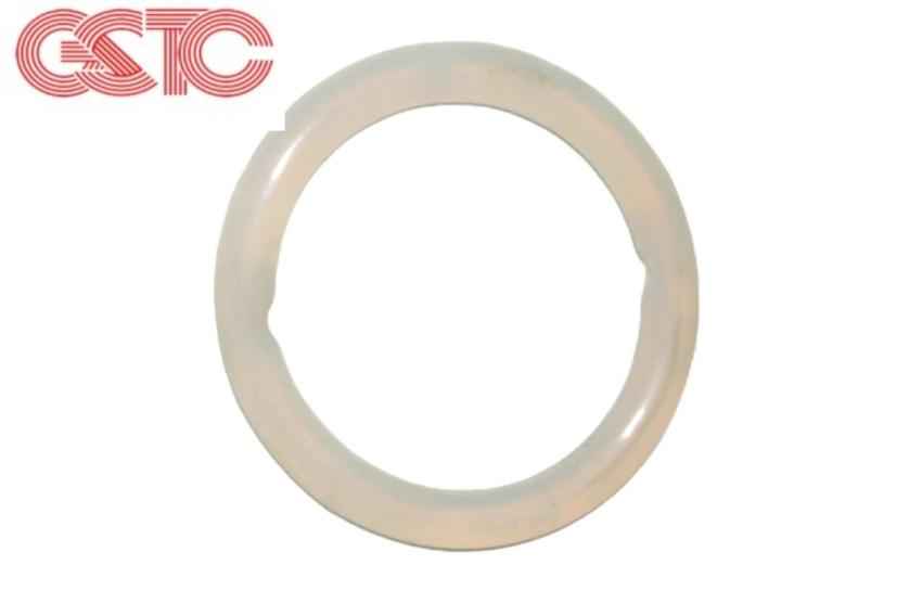 Ring Pessary: A Trusted Non-Surgical Solution for Pelvic Organ Support