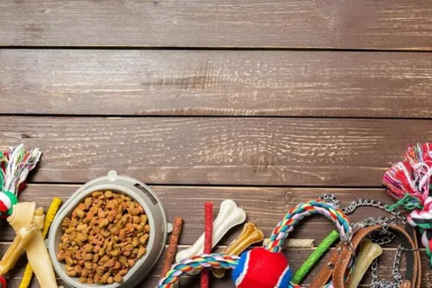 Top Organic Pet Products Online Every Pet Owner Must Try