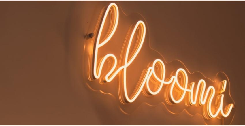 Creative Design Ideas for Neon Sign Boards