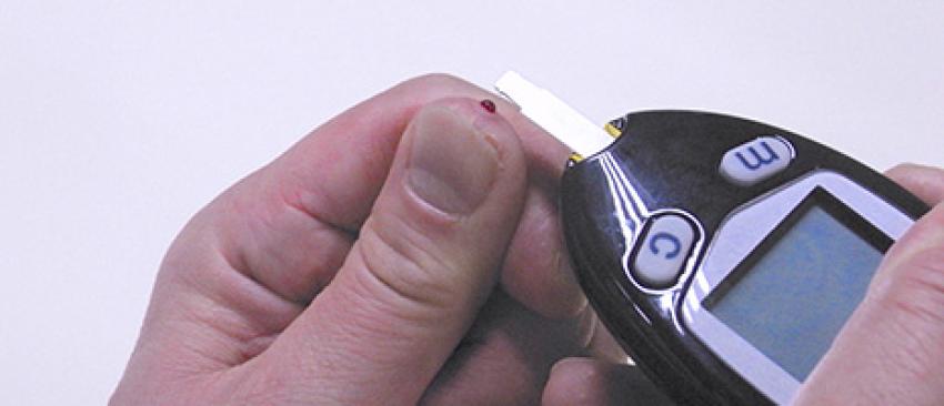 Japan Blood Glucose Monitoring Devices Market Size, Trends, and Growth Forecast 2025-2033