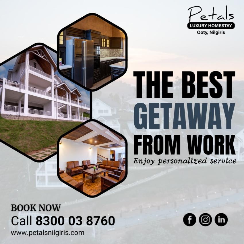 Experience Nature's Peace at Petals: Your Ultimate Resort in Ooty, Nilgiris
