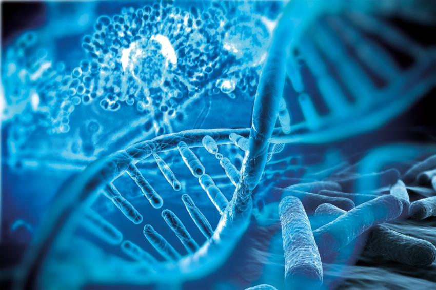 Japan Molecular Diagnostics Market Size, Trends, and Growth Forecast 2025-2033