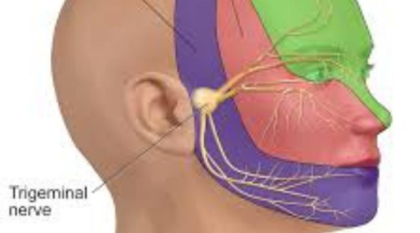 The Role of Surgery in Treating Trigeminal Neuralgia: Expert Neurosurgeon’s Opinion