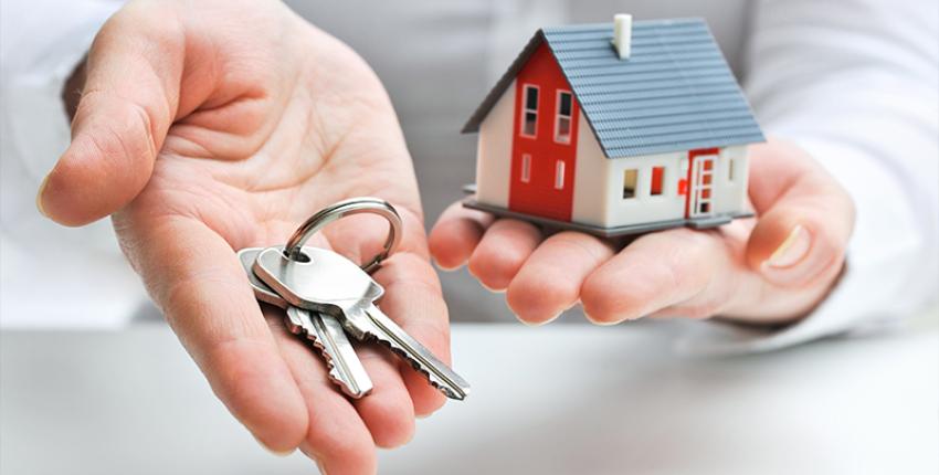 Smart Decisions Start with the Right Advice: Your Guide to Financial Experts in Hamilton & Auckland