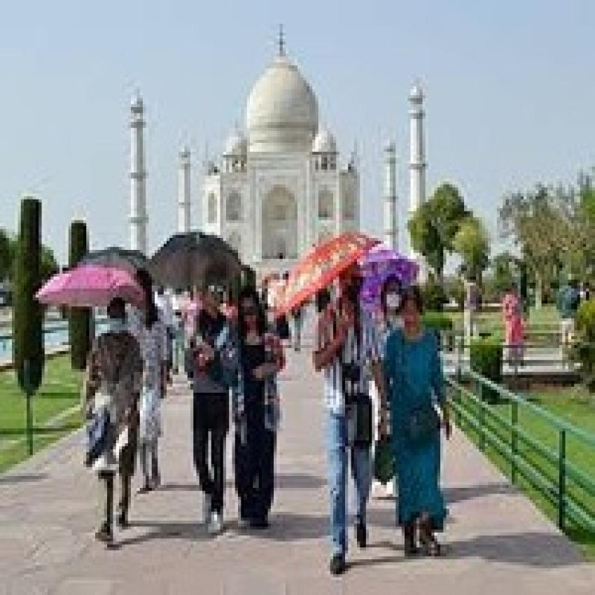 Navigating the Hustle: The Unseen Challenges of Handling Tourists