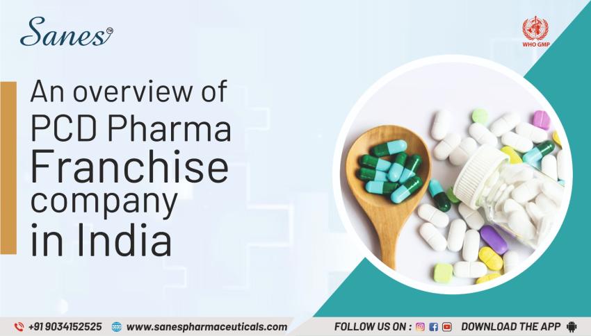 How to find a PCD pharma franchise company in India with the widest product portfolio?