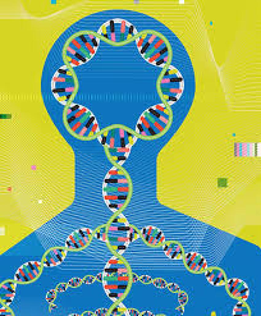 Japan Epigenetics Market Size, Trends, Growth & Forecast 2025-2033