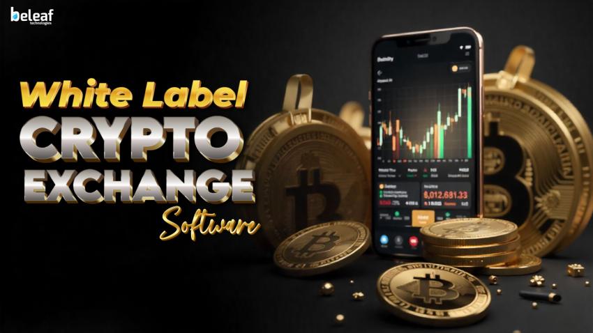 Why You Should Choose White Label Crypto Exchange Software Over Custom Development