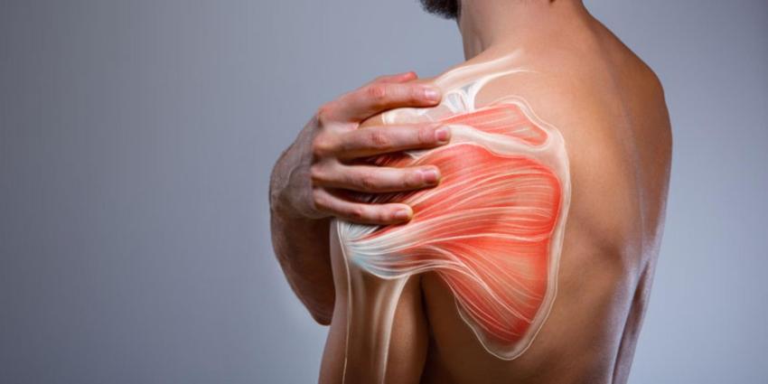 Best Shoulder Replacement Surgery in Ahmedabad | Expert Care