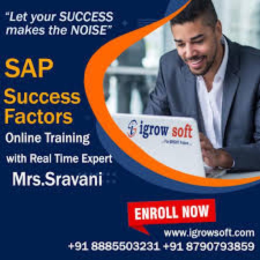 What are the SAP Success Factors ?