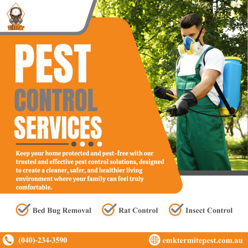 Reliable Pest Control Solutions in Sydney for Every Home