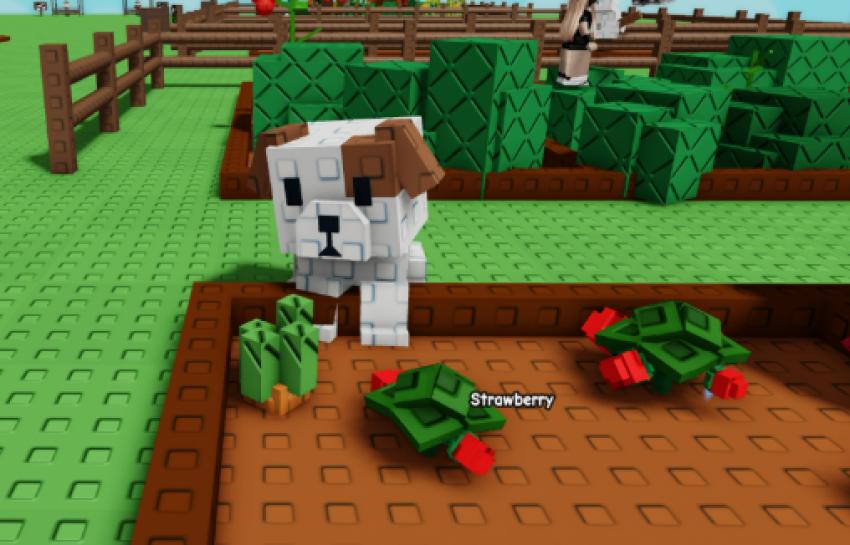 Grow A Garden Fall Merchant Stock Rotation Guide