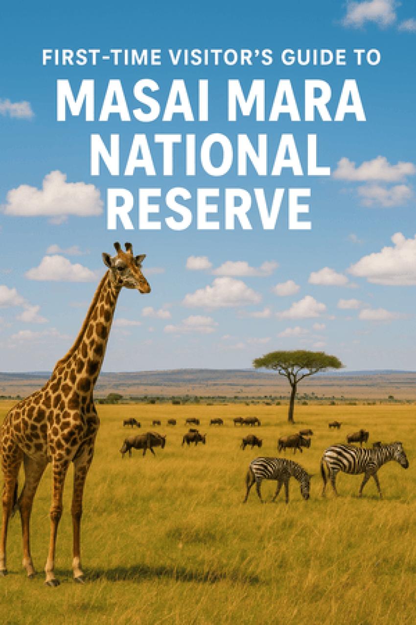 First-Time Visitor’s Guide to Masai Mara National Reserve