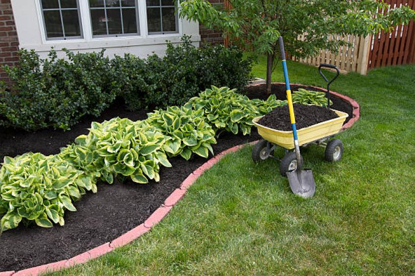 Can Over-Mulching Harm Your Grass or Soil?