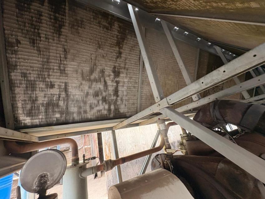 What Skills Differentiate Professional Cleaners in Homes and Businesses?