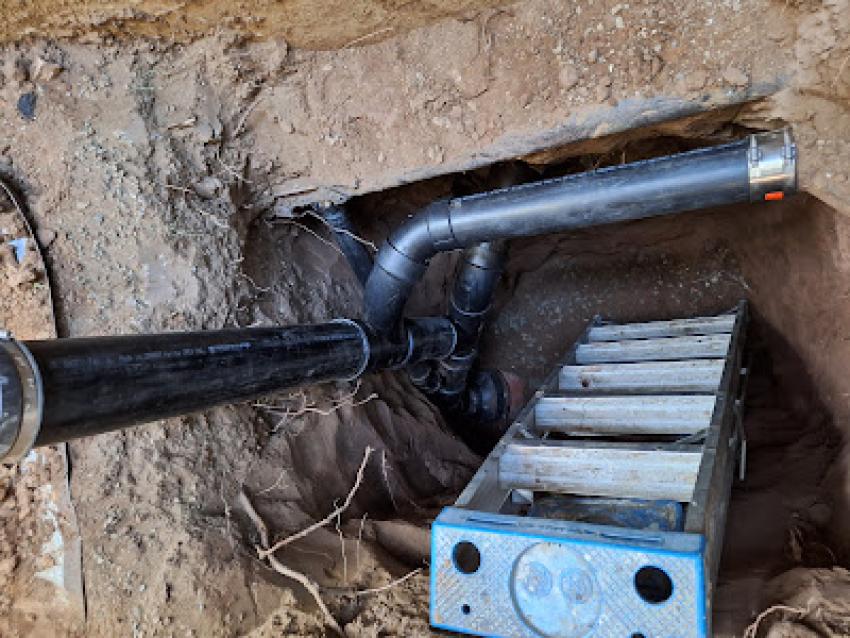 How a Sewer Repair Service Solves Root-Infested Pipes