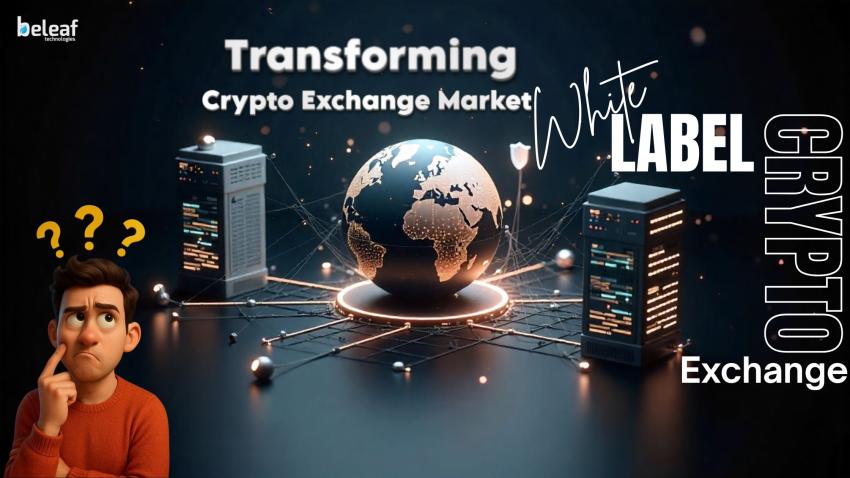 How White Label Solutions Are Transforming the Crypto Exchange Market