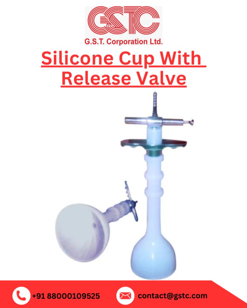 Silicone Cup with Release Valve|Gstc