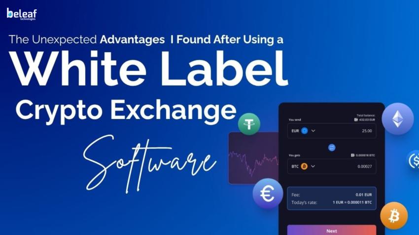 The Unexpected Advantages I Found After Using a White Label Crypto Exchange Software