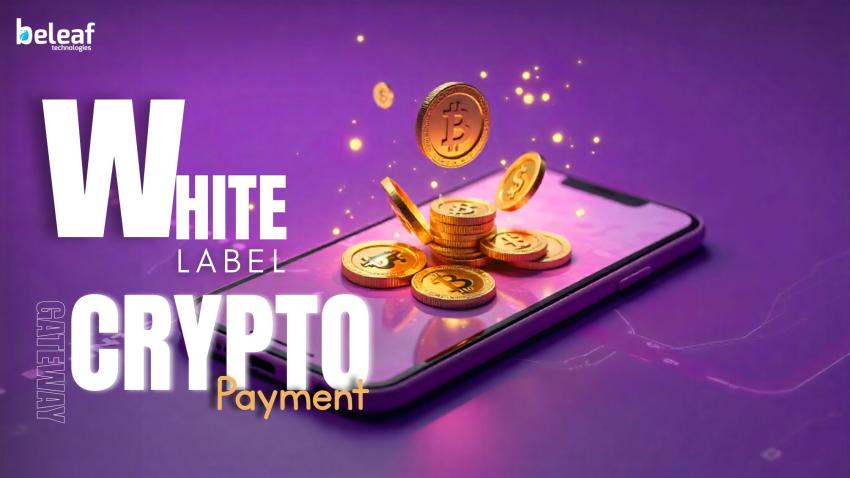 Why Crypto Payments Matter for Your Business and How a White-Label Gateway Supports You