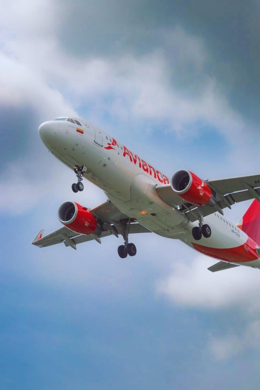 How Do I Check in for My Avianca Flight?