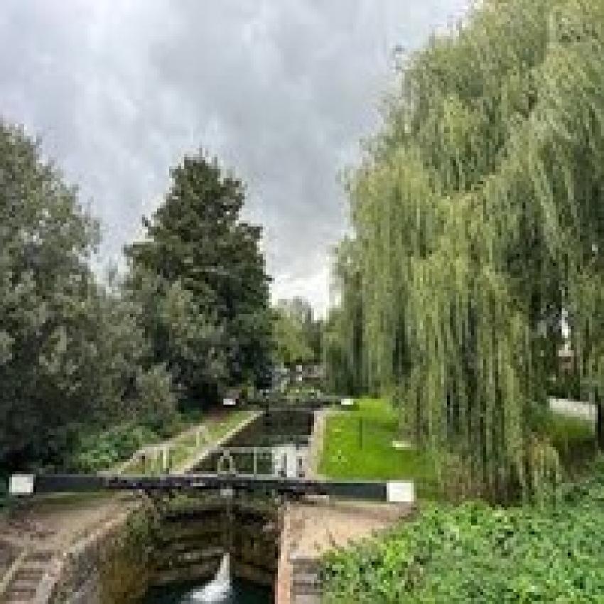 Unveiling Berkhamsted: Is This Historic Hertfordshire Gem Worth Visiting?