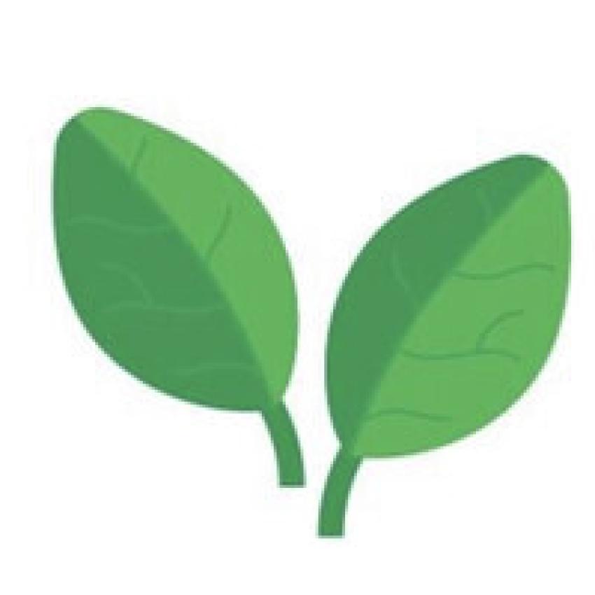 Is Mindset the Missing Ingredient in Business Success? Local Experts Say Yes