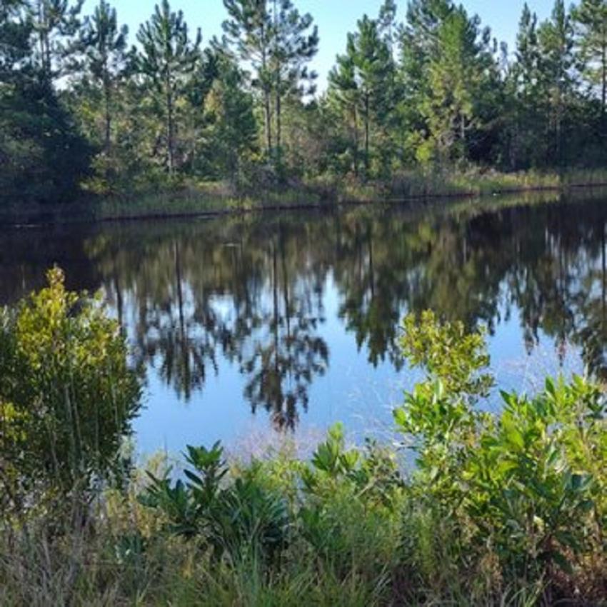 What Makes RV Resort Living Different from Campground Camping?