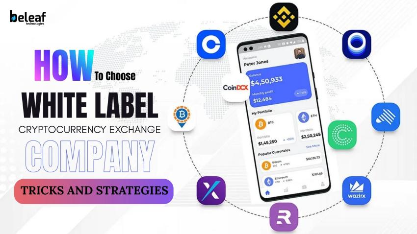 How to Select the Top White Label Crypto Exchange Company: Tricks and Strategies