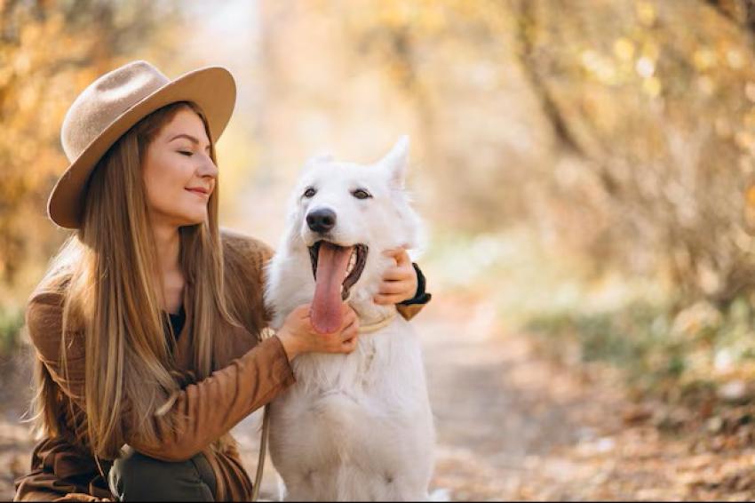 Dog Clippers: A Necessary Purchase for All Pet Owners