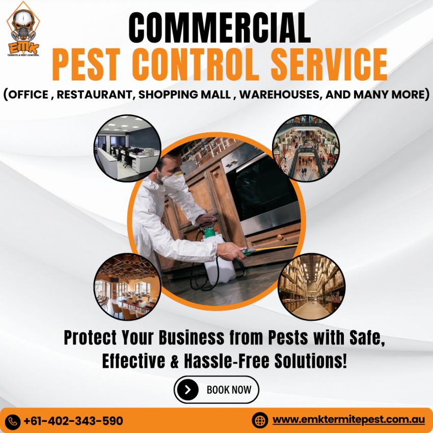 Why DIY Pest Control Doesn’t Work for Commercial Properties