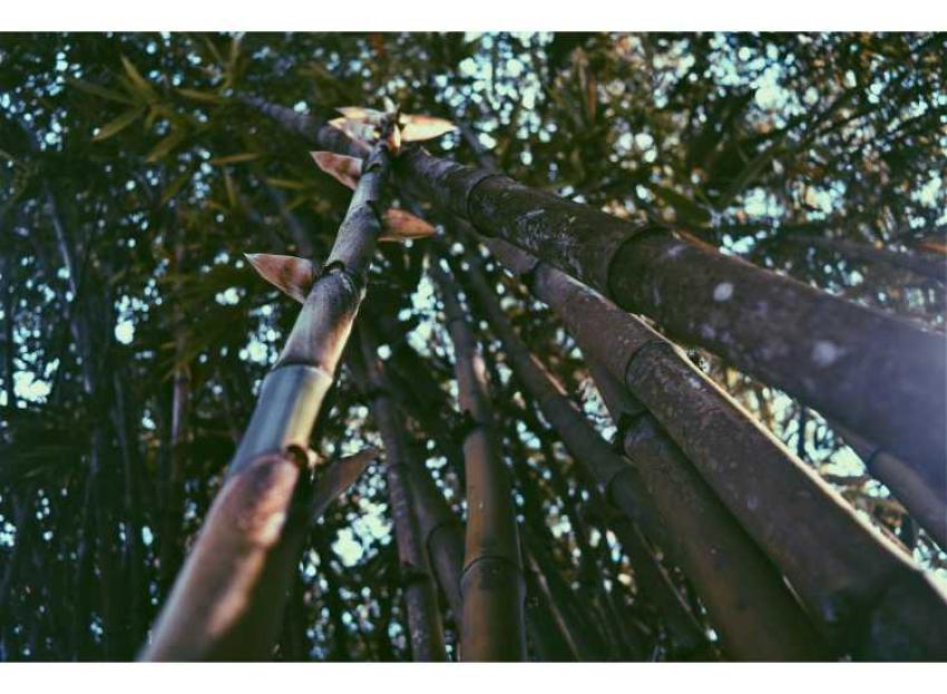 Singapore Nights That Feel Romantic Without Trying Too Hard