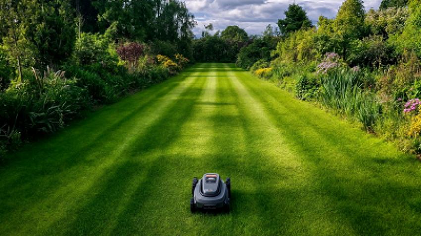 Lawn Care Services: Protect Every Type of Turfgrass with Intelligent Maintenance Solutions