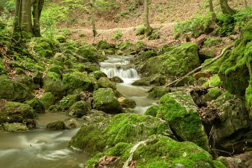 How to Find the Best Kerala Tour Packages Under ₹50,000