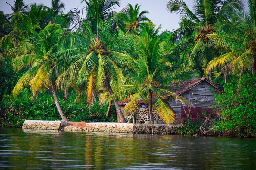 Budget-Friendly Trip in Kerala: Top Places to Explore Under ₹10,000